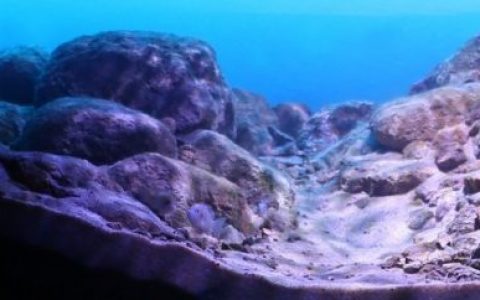 马拉维湖利科马岛的岩石栖息地原生缸造景 19年第69名