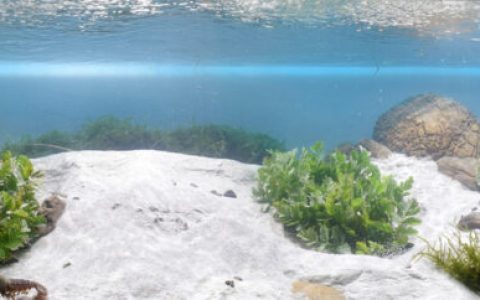 意大利佩斯卡拉河源头自然保护区原生缸造景 22年33名